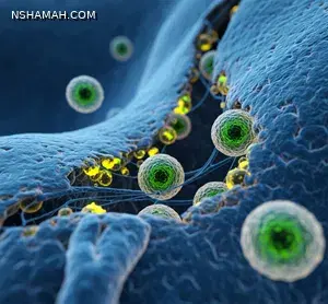 الطب التجديدي: مفتاح إطالة العمر البشري إلى ما بعد الحدود الحالية الطب التجديدي: مفتاح إطالة العمر البشري إلى ما بعد الحدود الحالية