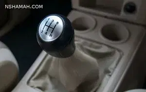 الأسباب الرئيسية لظهور نتعة بالقير